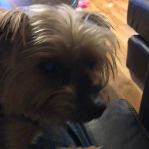 Meet your Posher, Michelle